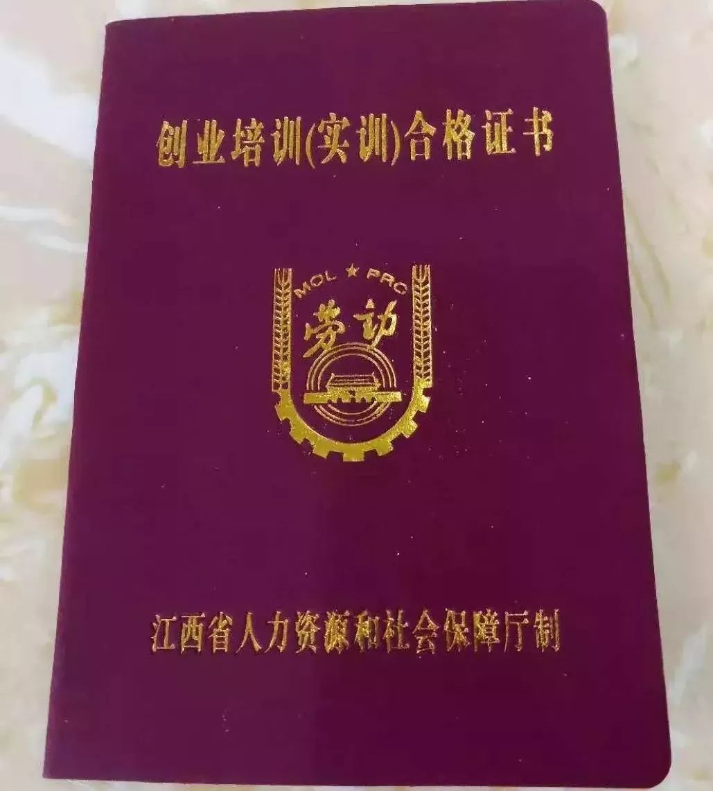 你培训,我买单!电商免费培训火热报名中!_创业