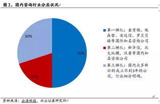 战略管理 经济 技术 人力资源咨询