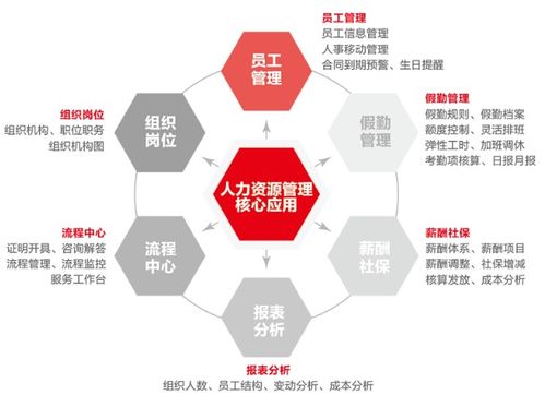 飞宇公司集中力量完善员工人事信息 助推人力资源管理数字化建设